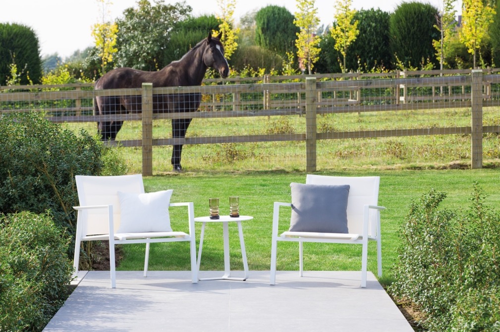 lounge chairs on small terrace with a horse on the background